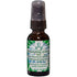 FLOWER ESSENCE Grounding Green Flourish Spray 1 OZ